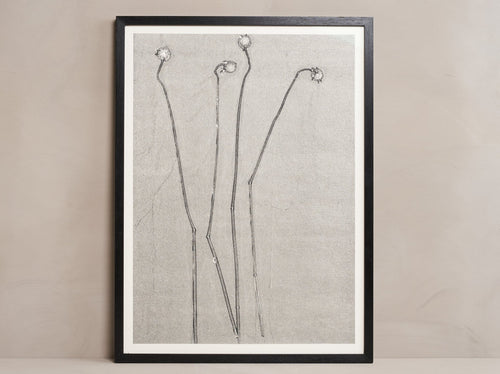 HERMA DE WIT MONOTYPE #47 B/G 32" x 24"