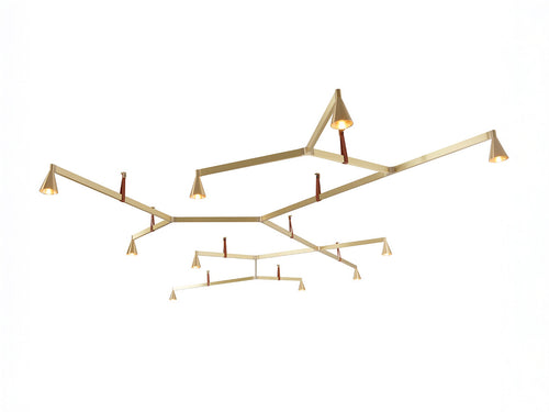 TRIZO21 AUSTERE ELEMENTS