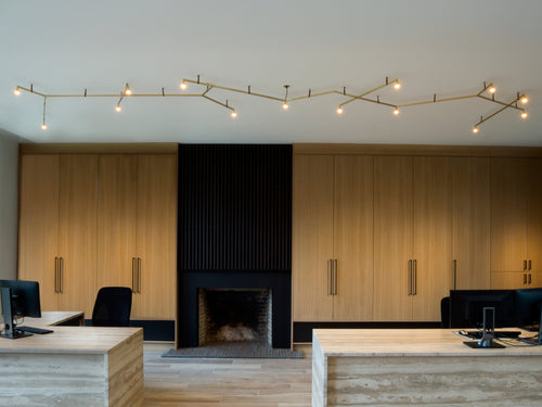 TRIZO21 AUSTERE ELEMENTS