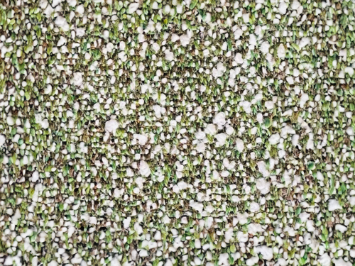 DELCOURT TEXTILES EVANS / MOUSSE
