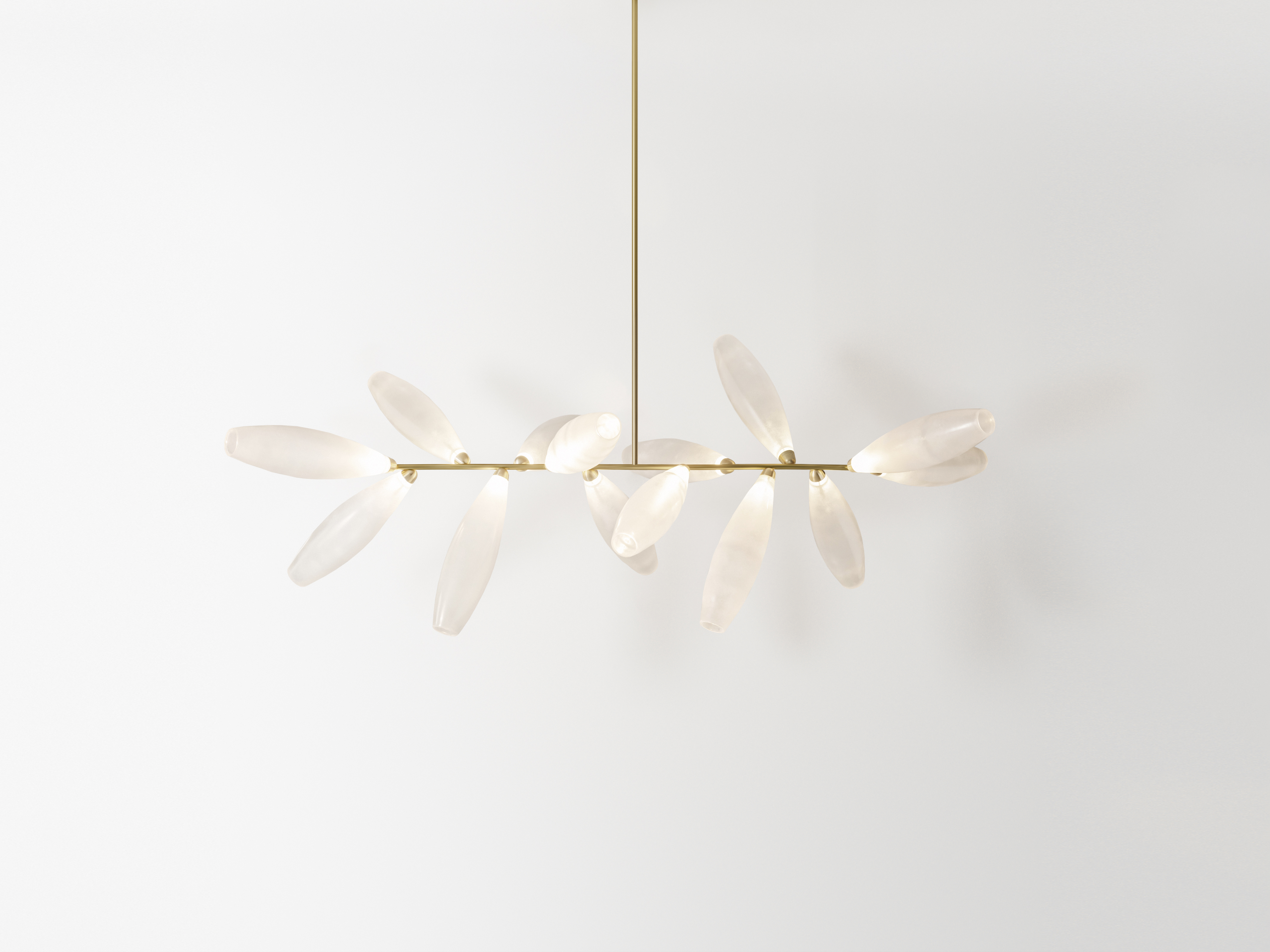 GiopatoCoombes_GemBranchChande