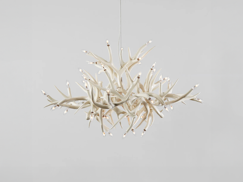 ROLL & HILL SUPERORDINATE ANTLER CHANDELIER / 24 Ø51.5" x H35"