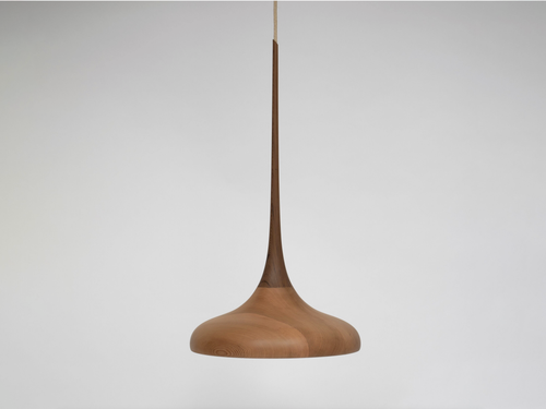 NON-STANDARD BOTANICAL TWO PENDANT Ø15.6"