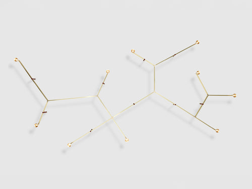TRIZO21 AUSTERE ELEMENTS