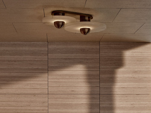 APPARATUS MEDIAN 2 SURFACE MOUNT H6.25" x W22.25" x L14"