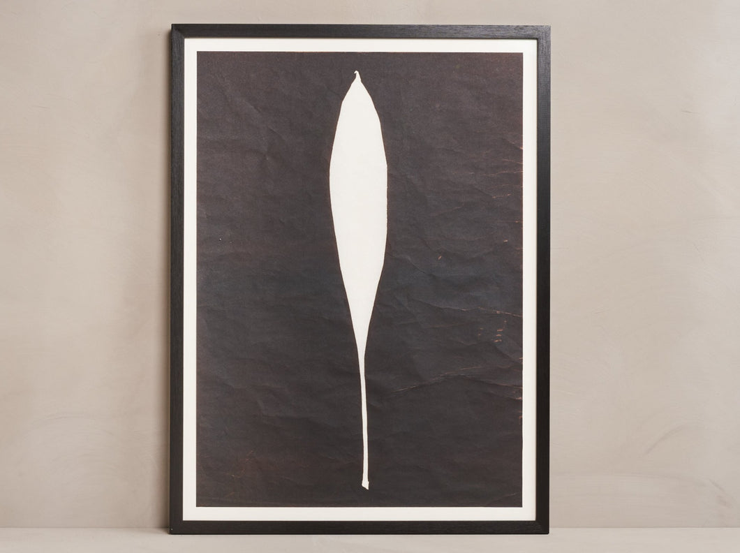 HERMA DE WIT MONOTYPE #38 S/W 32