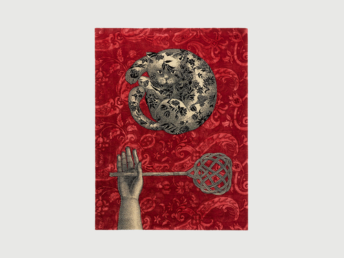 CC-TAPIS FORNASETTI IL GATTIPANNI LIMITED EDITION RUG 7'5" x 9'8"