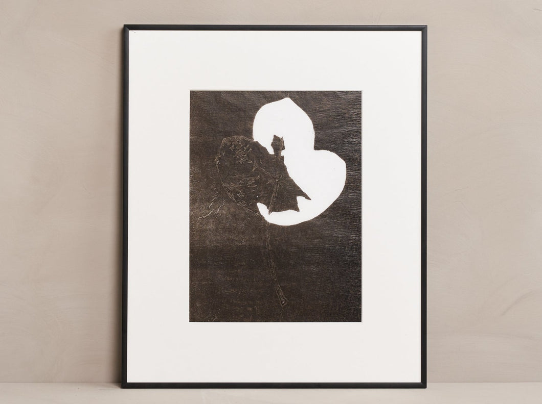 HERMA DE WIT MONOTYPE M #42 S 24