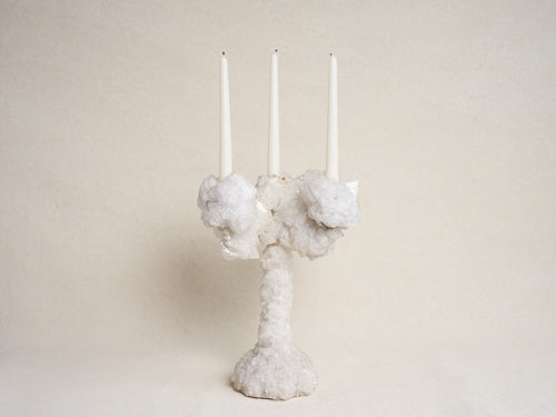 MARK STURKENBOOM OVERGROWN LARGE CRYSTAL CANDELABRA / WHITE H16.5" x Ø13.8"