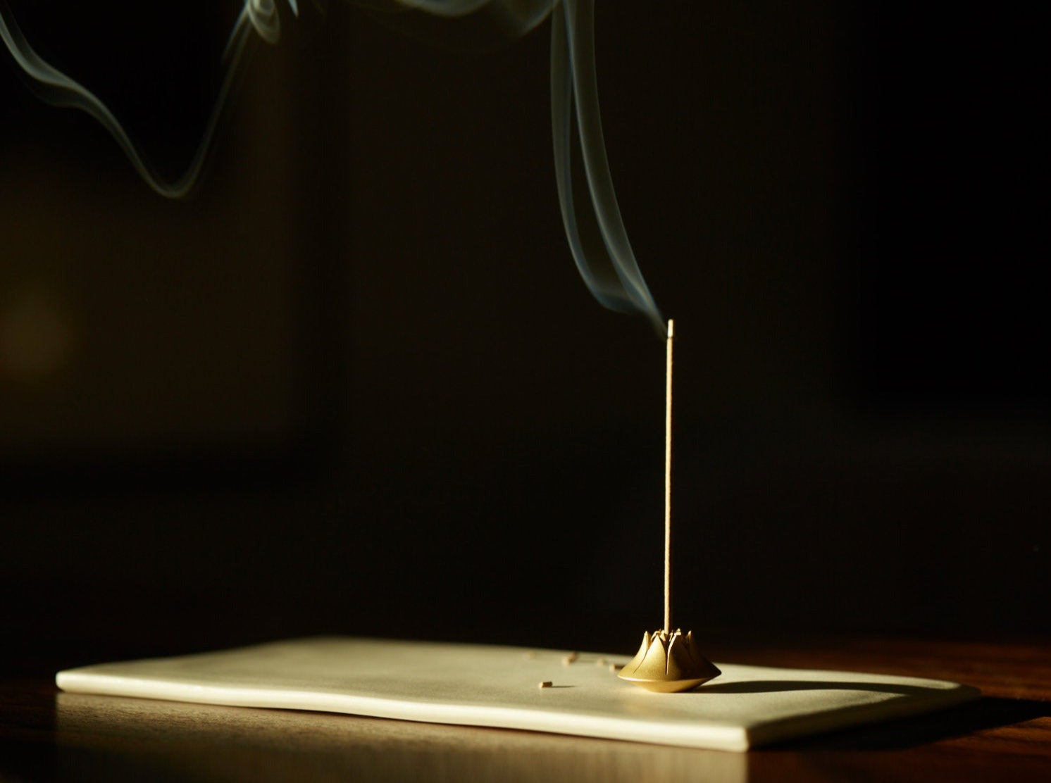 TENNEN AGAVE INCENSE HOLDER | GARDE – Garde