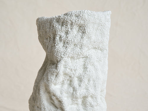 WDSTCK CORAL VASE W7.9" x H13.8"