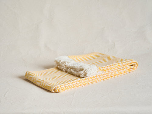 ALONPI WILLY CHEVRON THROW / NO.03  51" x 71"