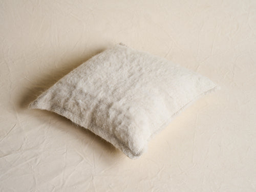 IDENTIDAD ARGENTINA NORTE CUSHION / IVORY 22" x 22"