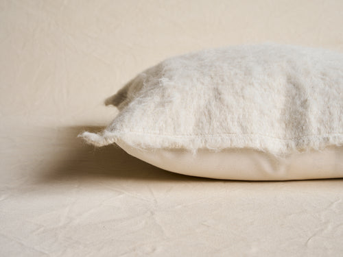 IDENTIDAD ARGENTINA NORTE CUSHION / IVORY 22" x 22"