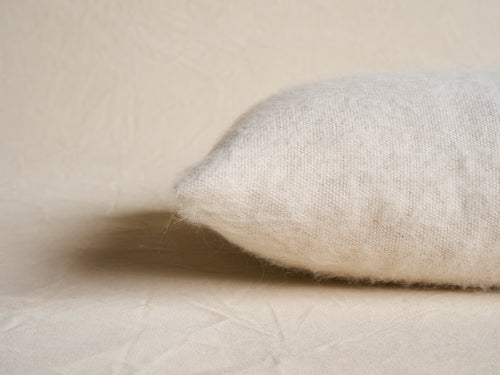 IDENTIDAD ARGENTINA BRUMA CUSHION / IVORY 15" x 25"