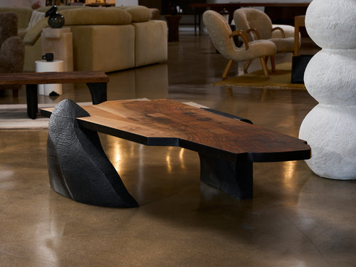 EERO MOSS COFFEE TABLE / DALLAS W35" x L71" x H16"