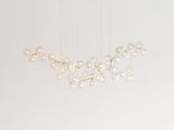 Load image into Gallery viewer, GIOPATO &amp; COOMBES MAEHWA CHANDELIER BRANCH 51 L78.6&quot; x D28.9&quot; x H31.4&quot;
