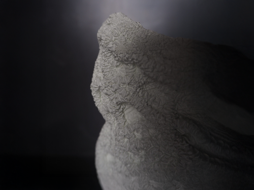 WDSTCK CORAL VASE W7.9" x H13.8"