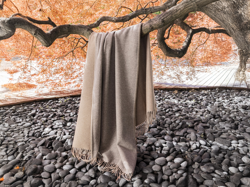 ALONPI MELROSE CASHMERE THROW 55" x 75"
